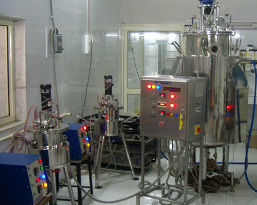 Fermentor-Industrial-Model