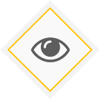 vision-icon